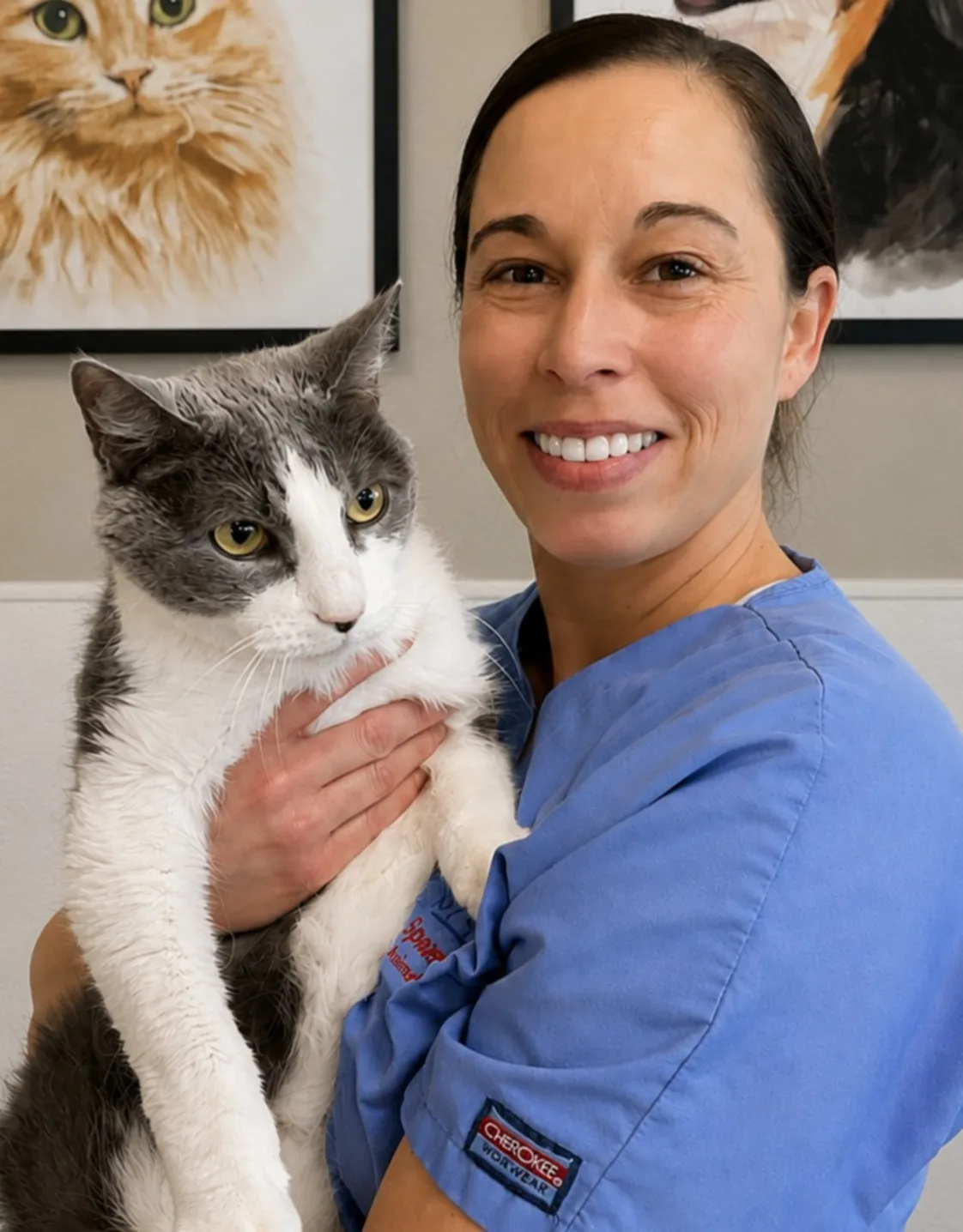 Lindy's staff photo from Spanish Trail Animal Hospital where she is posing with a grey cat Lindy's staff photo from Spanish Trail Animal Hospital where she is posing with a grey cat