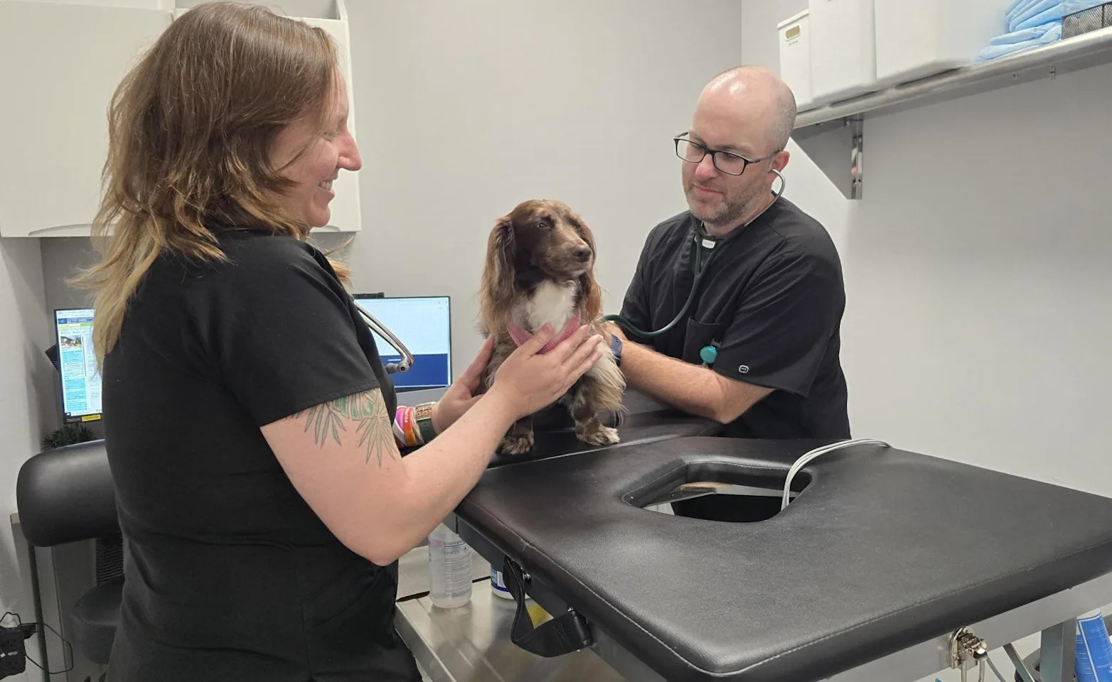 Dr. Harmon examining a dog Dr. Harmon examining a dog