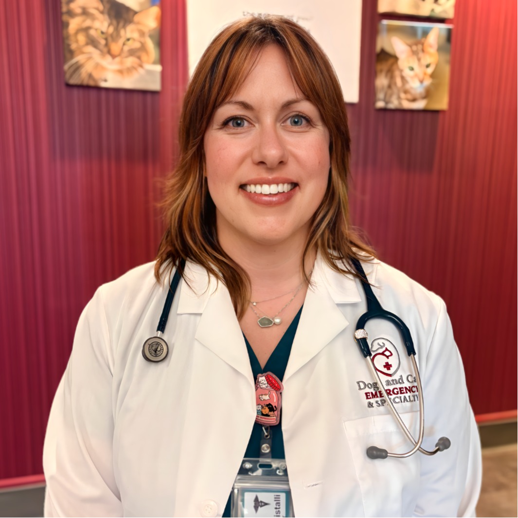 Dr. Bonistalli, Emergency Veterinarian