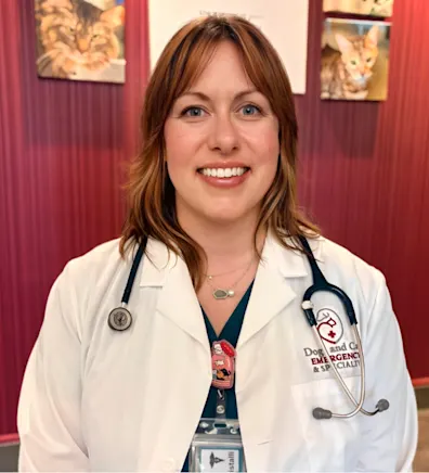 Dr. Bonistalli, Emergency Veterinarian Dr. Bonistalli, Emergency Veterinarian