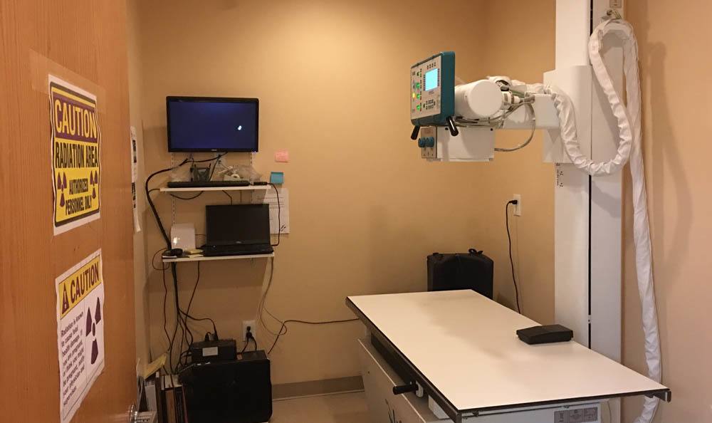 Holladay Veterinary Hospital Xray Room