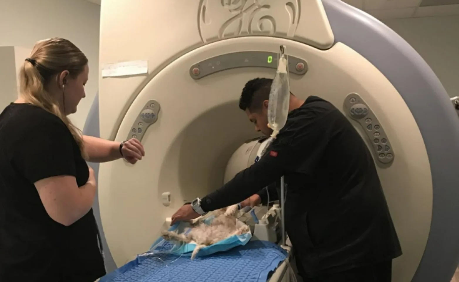 Two technicians preparing a patient for imaging diagnostics at SCAN Naples