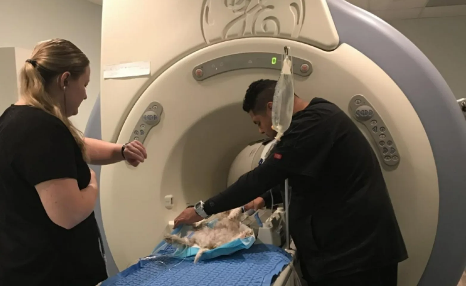 Two technicians preparing a patient for imaging diagnostics at SCAN Naples Two technicians preparing a patient for imaging diagnostics at SCAN Naples