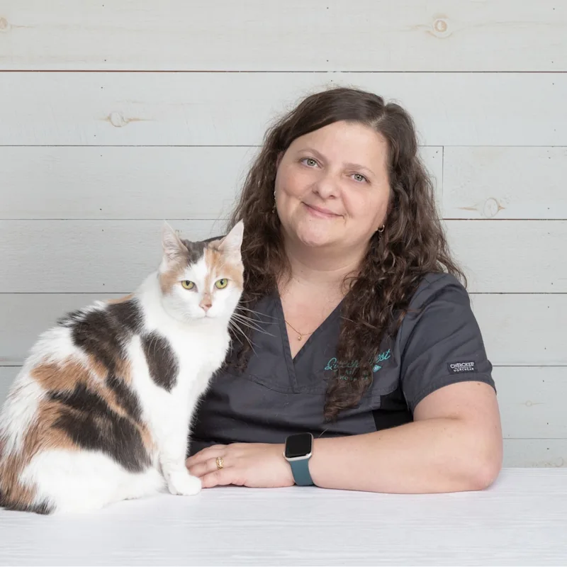 Nadia holding a cat Nadia holding a cat