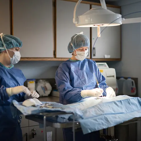 Surgery Surgery