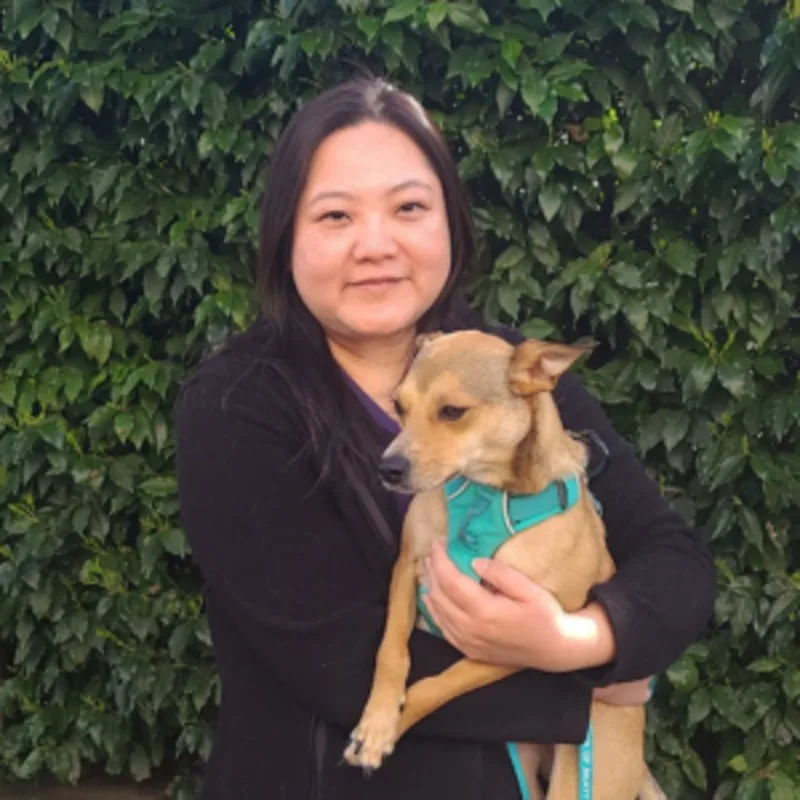 Chai-Fei Li Chai-Fei Li