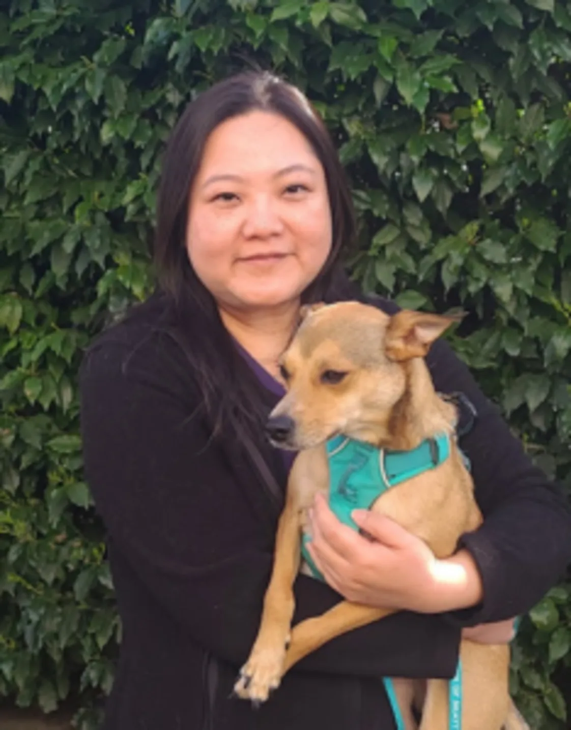 Chai-Fei Li Chai-Fei Li