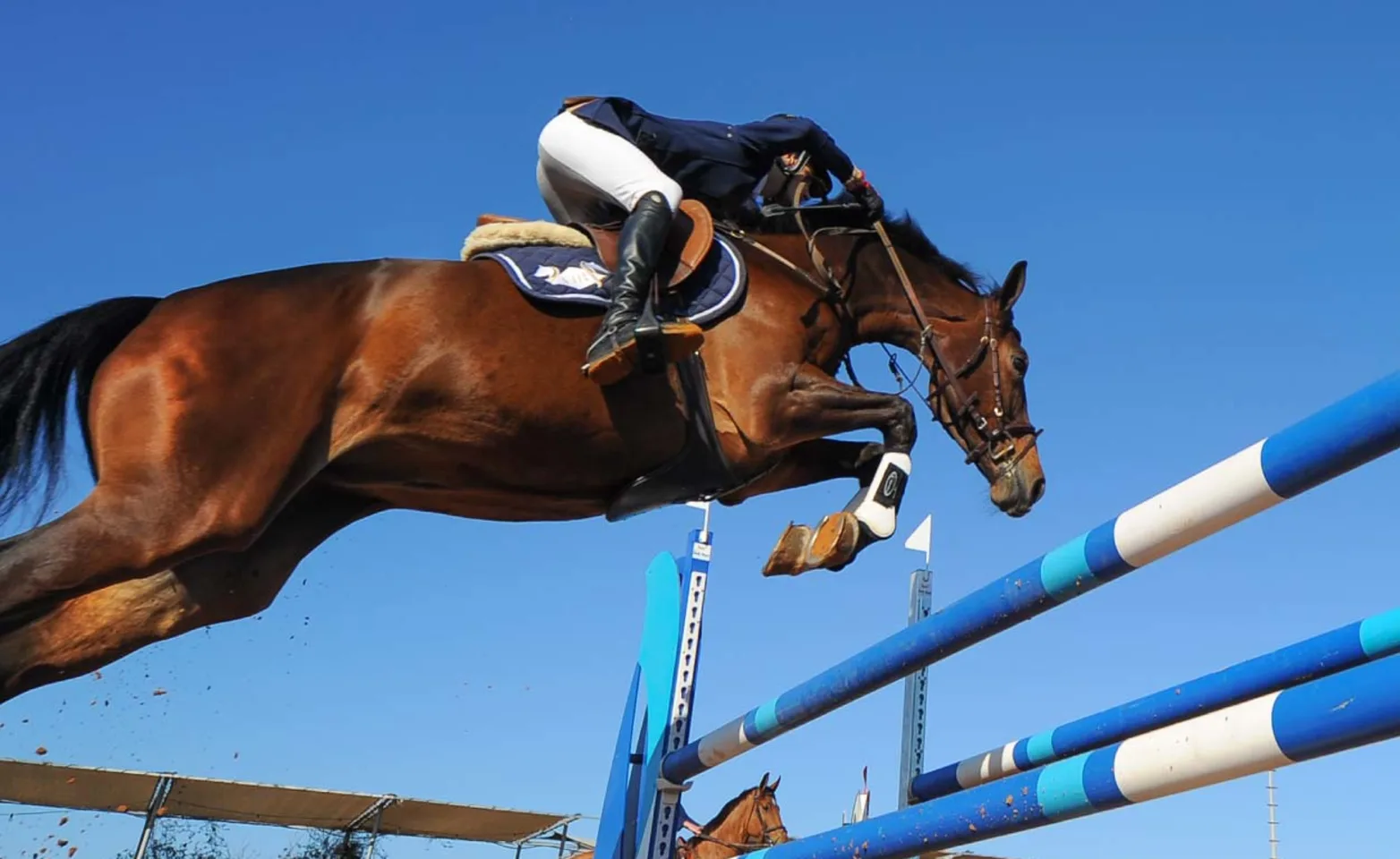 Horse and jockey jumping over a hurdle