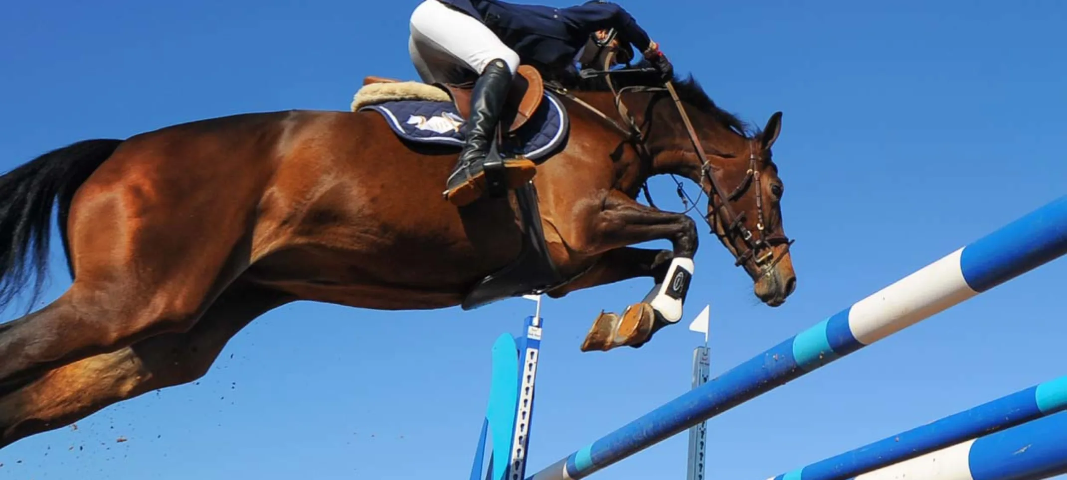 Horse and jockey jumping over a hurdle