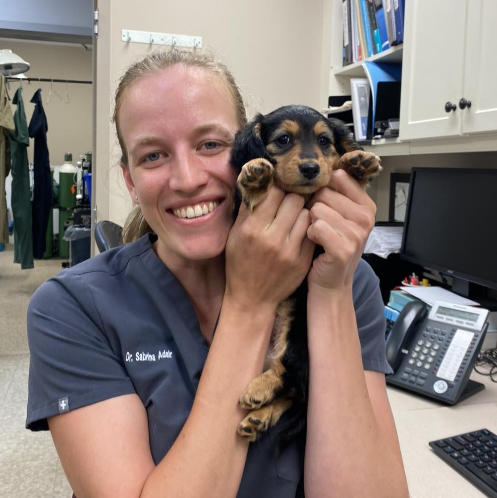 Puppy Wellness Packages