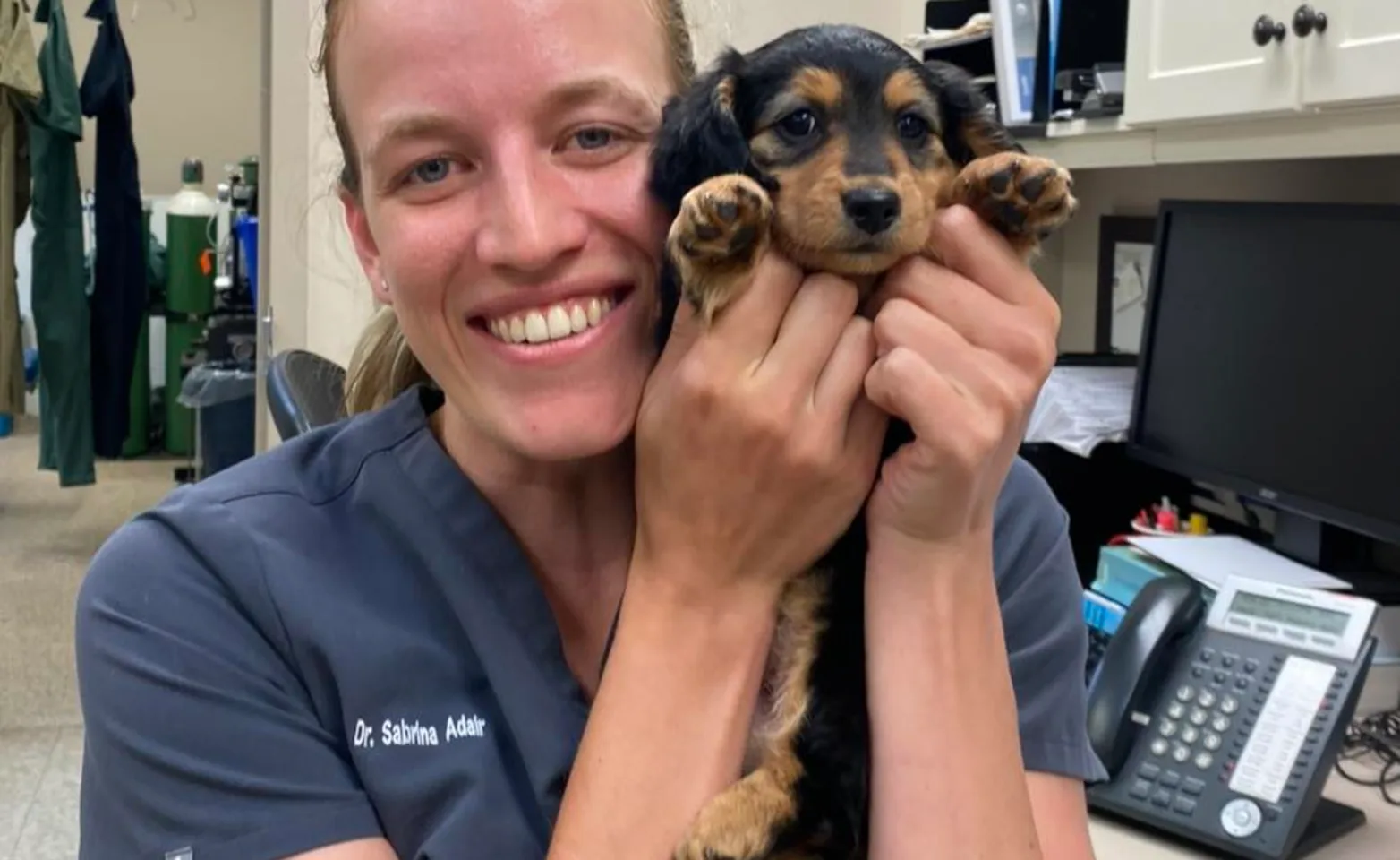 Puppy Wellness Packages Puppy Wellness Packages