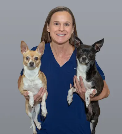 Roanoke Animal Hospital TX Stacy Roanoke Animal Hospital TX Stacy