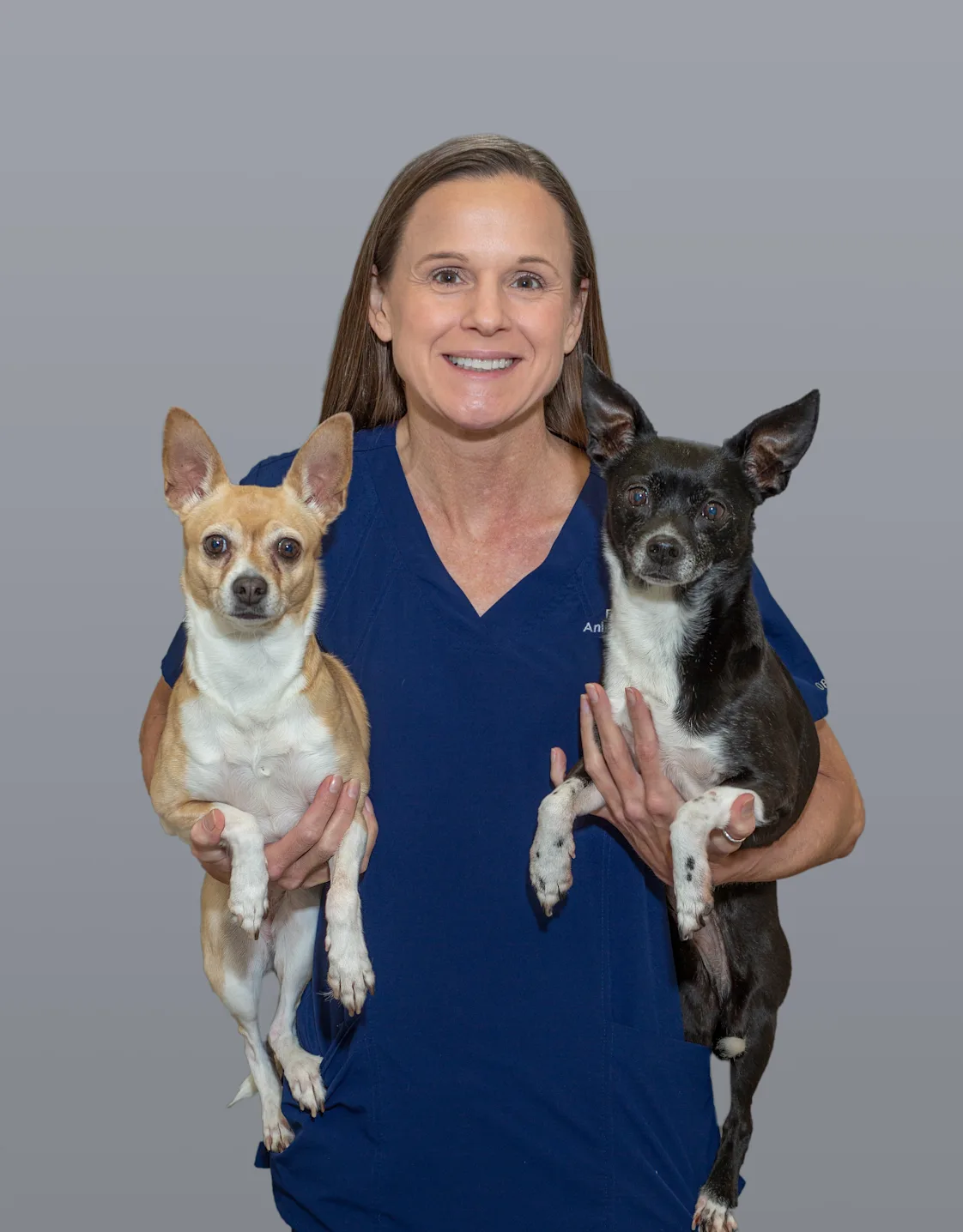 Roanoke Animal Hospital TX Stacy Roanoke Animal Hospital TX Stacy