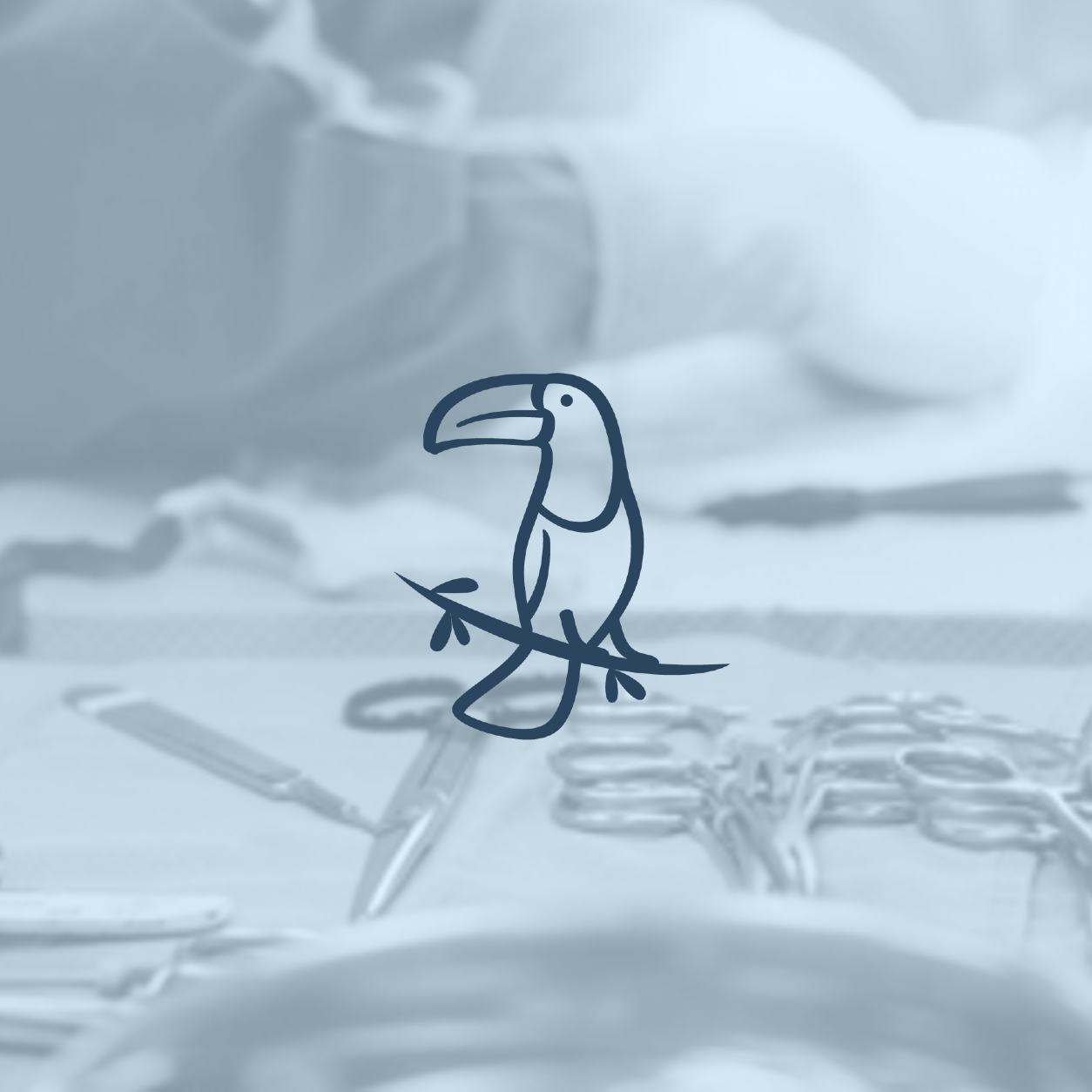 Surgical instruments and an avian toucan logo