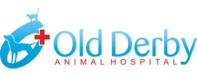 Old Derby Animal Hospital Logo Old Derby Animal Hospital Logo