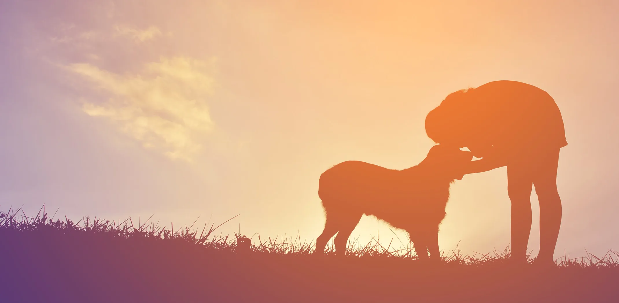 Dog sitting next to man as they watch the sunset