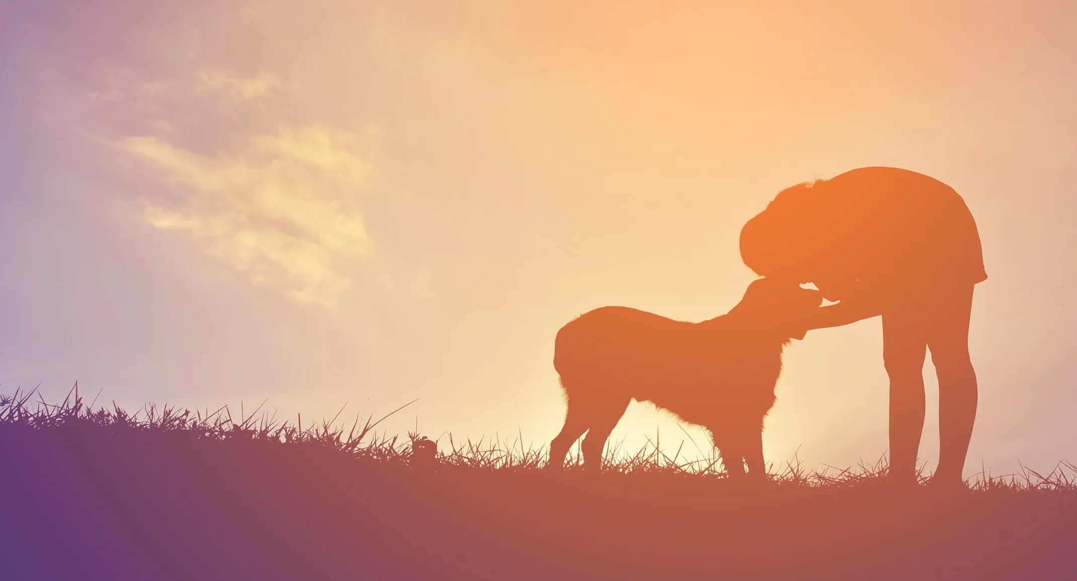 Dog sitting next to man as they watch the sunset