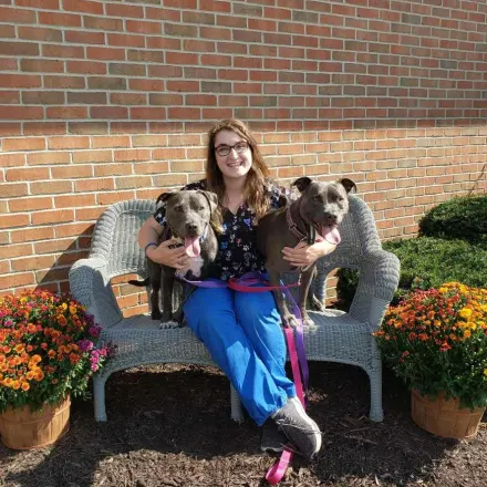 Alex M of Kettering Animal Hospital posing with two grey Pit Bulls