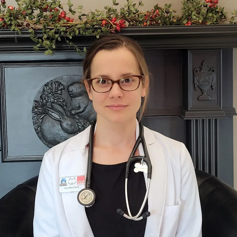 Dr. Lindsay Davis Dr. Lindsay Davis