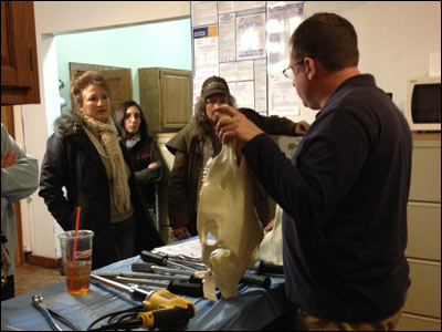 Veterinarian explaining parts of a horse jawbone