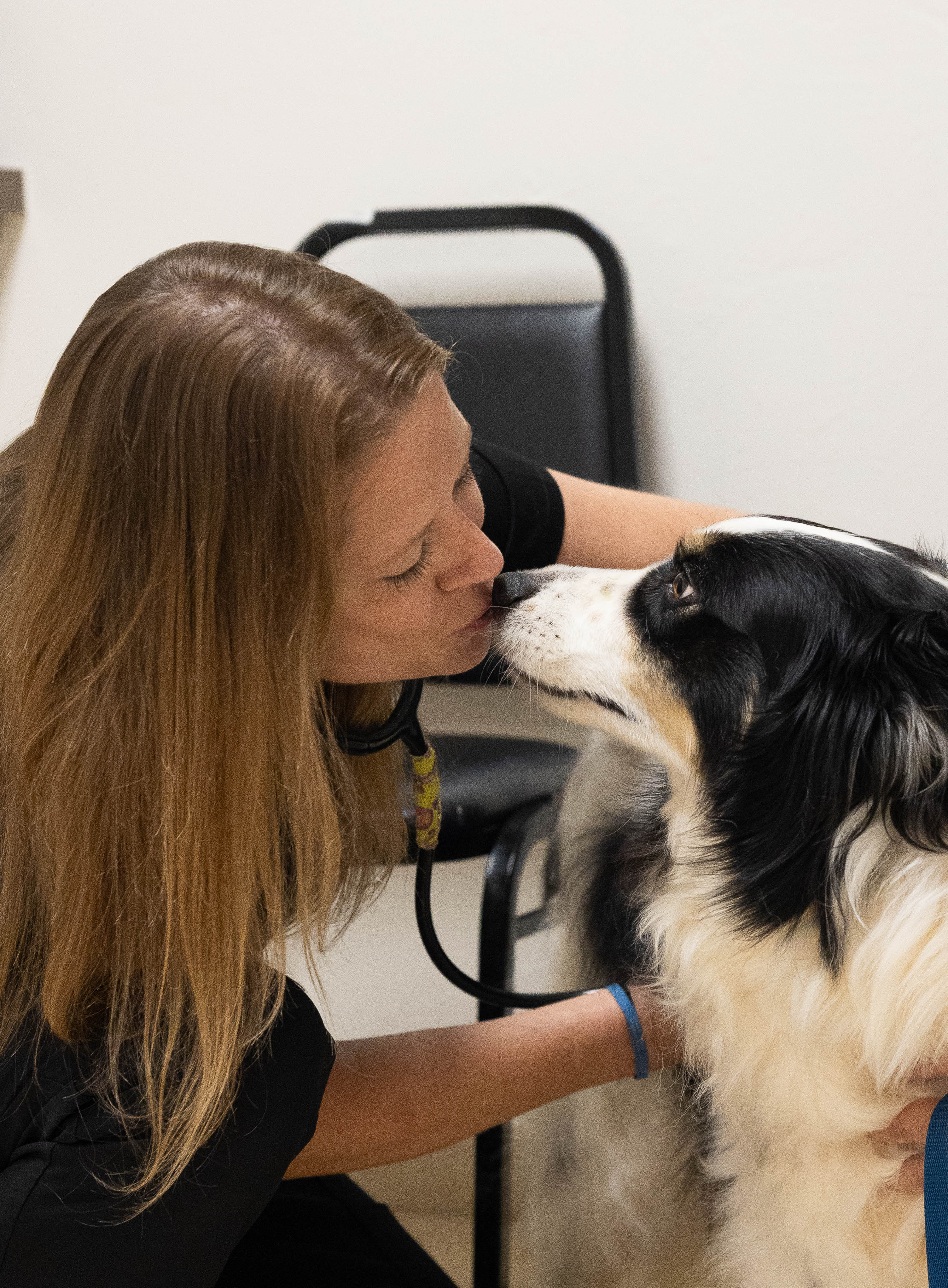 Veterinarian kissing Border Collie Patient