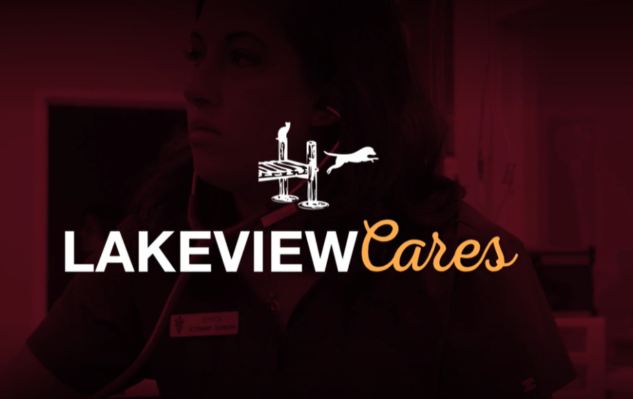 Dentistry Video Thumbnail