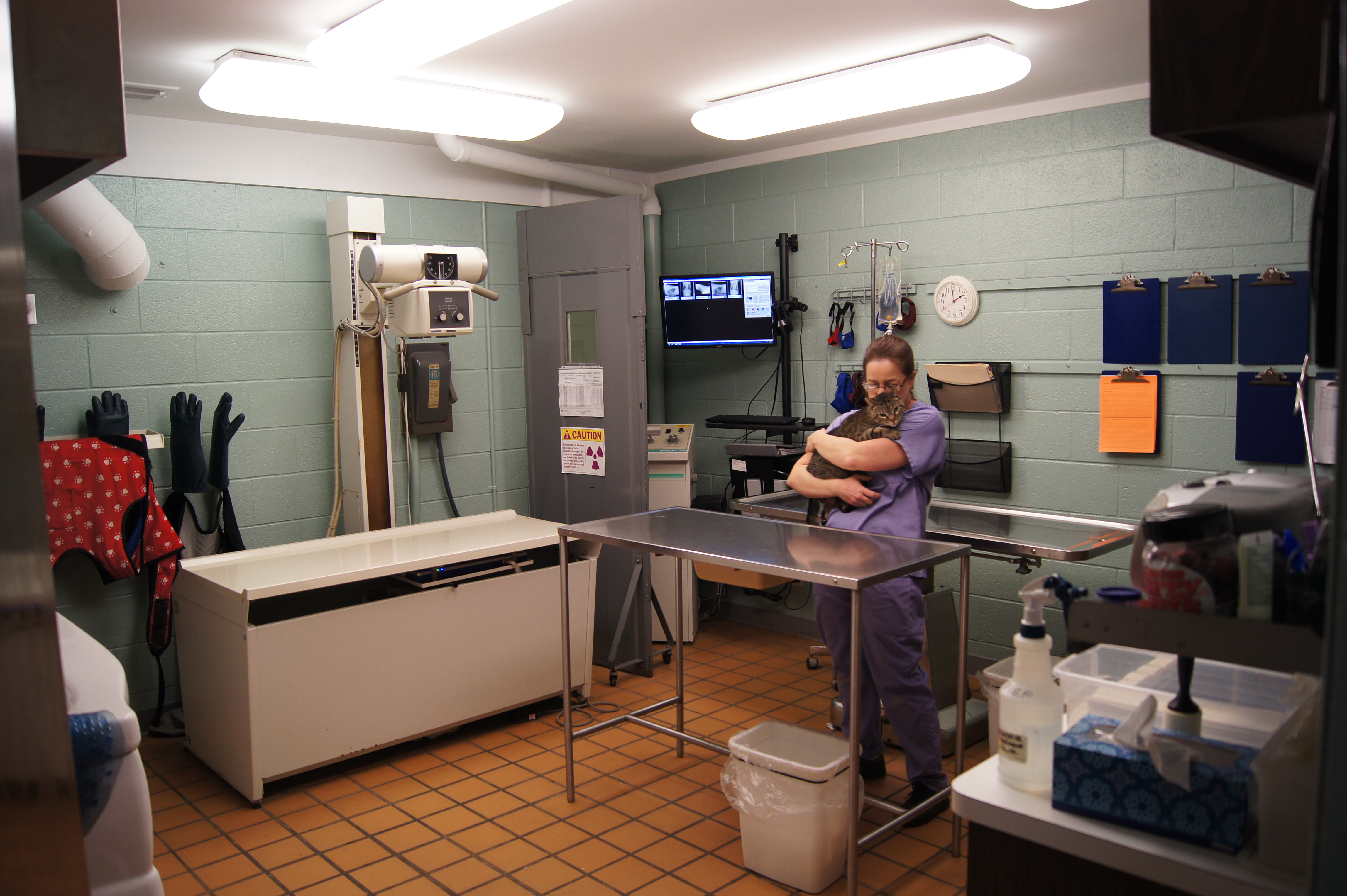 Warren Woods Veterinary Hospital Treatment Area