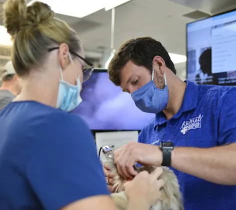 Staff performing endoscopy at Animal Medical Center of Hattiesburg. Staff performing endoscopy at Animal Medical Center of Hattiesburg.