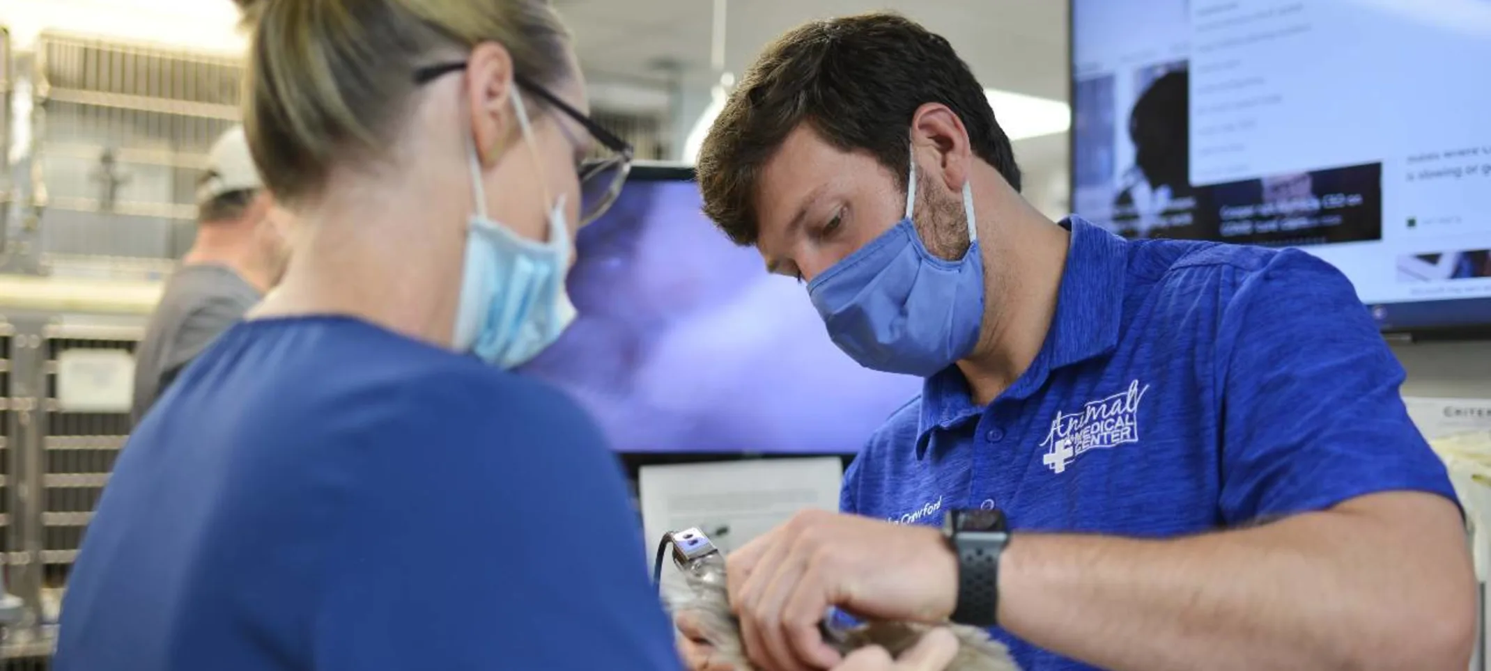 Staff performing endoscopy at Animal Medical Center of Hattiesburg. Staff performing endoscopy at Animal Medical Center of Hattiesburg.