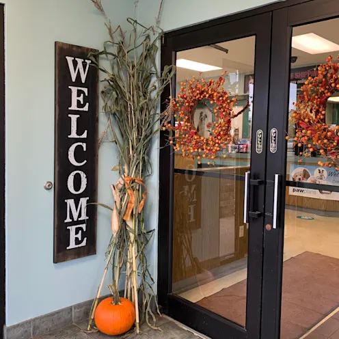 Front Entrance at Camboro Veterinary Hospital Front Entrance at Camboro Veterinary Hospital