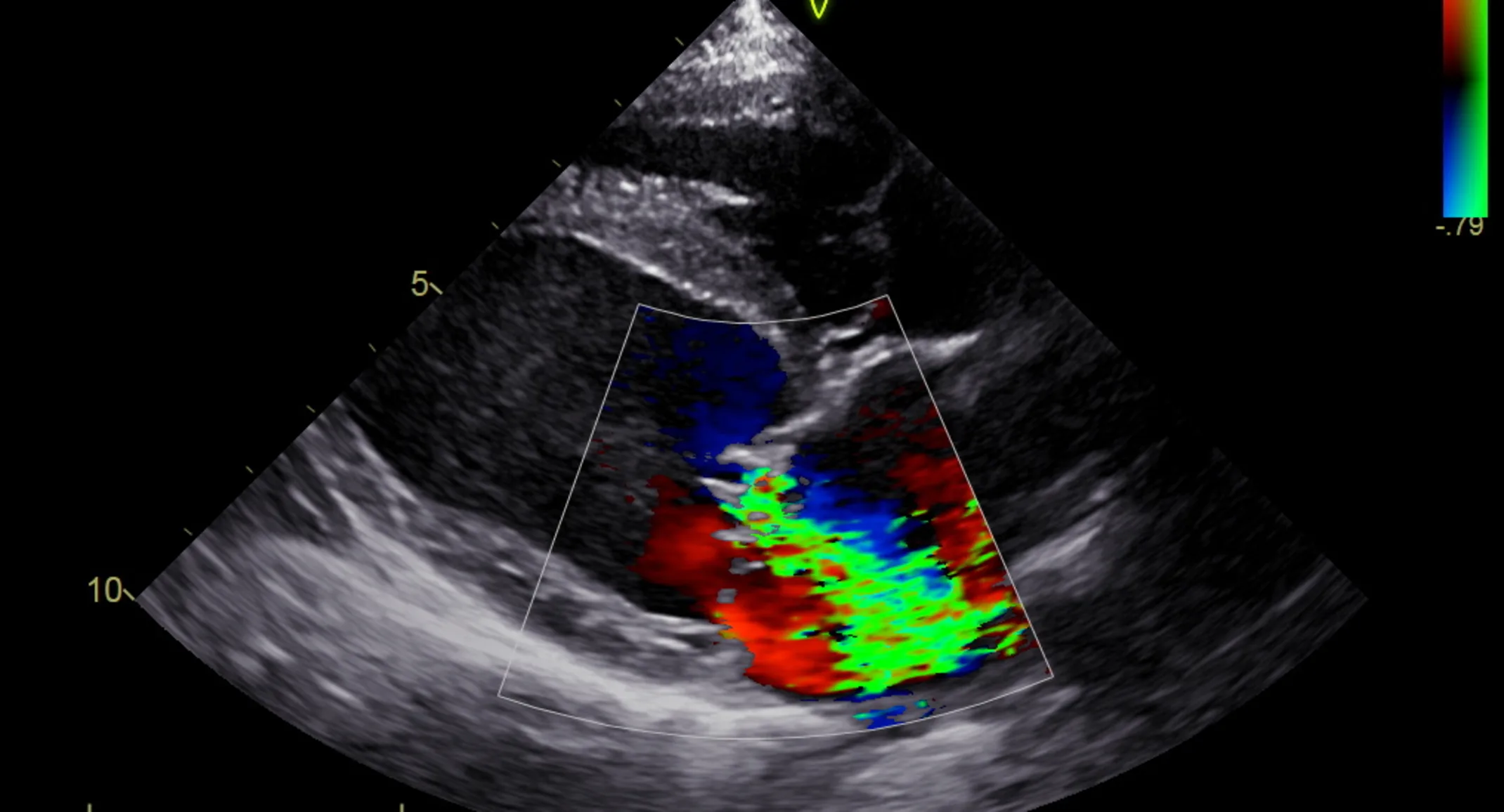cardiology cardiology