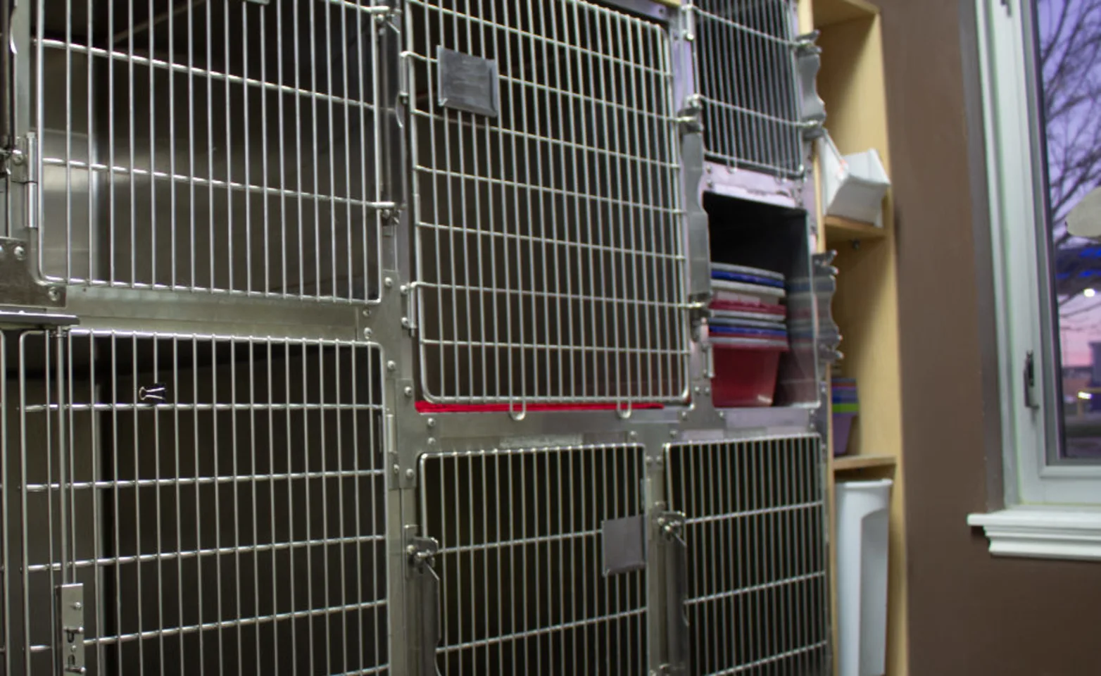 Co-ed kennel room Co-ed kennel room