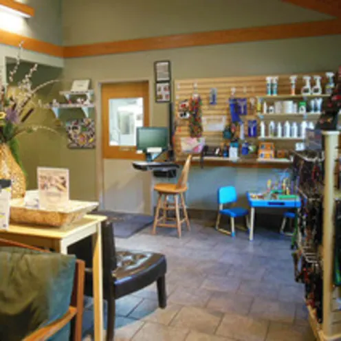 Animal Hospital of Signal Mountain Lobby and seating area Animal Hospital of Signal Mountain Lobby and seating area