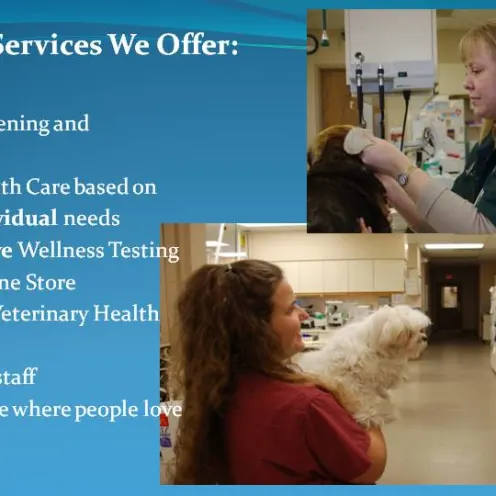 Staff members and list of additional services provided at Kettering Animal Hospital 