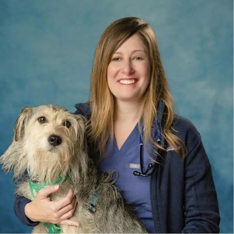 Dr. Allison Keil's staff photo from Anne Arundel Veterinary Emergency Clinic. Dr. Allison Keil's staff photo from Anne Arundel Veterinary Emergency Clinic.