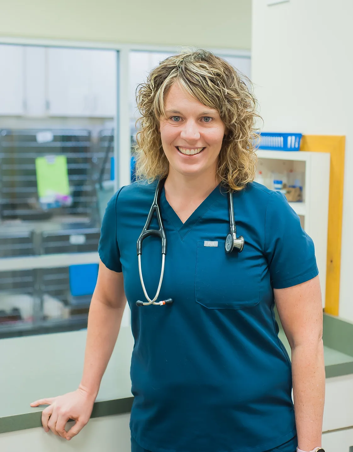 Lyndsey Steele Lyndsey Steele