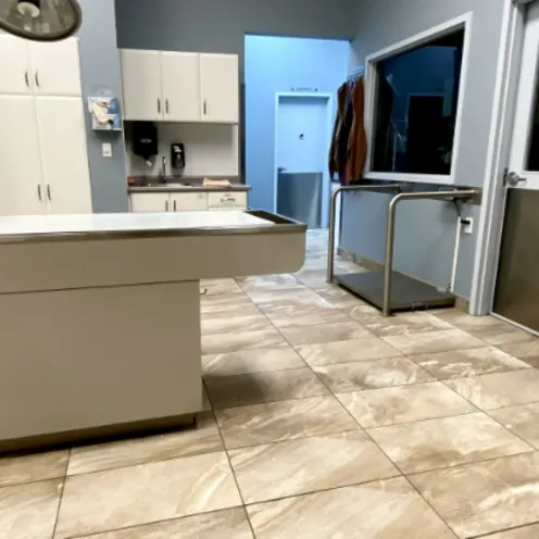 Examination Room Examination Room