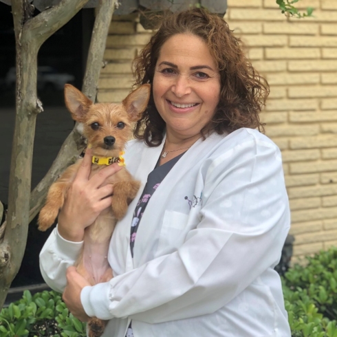 Dr. Tami Lass Southwest Animal Clinic