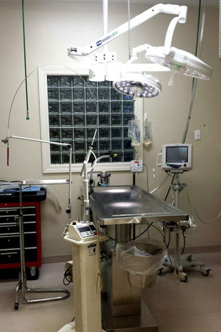 Valley Animal Hospital surgical suite with operating table and lighting equipment