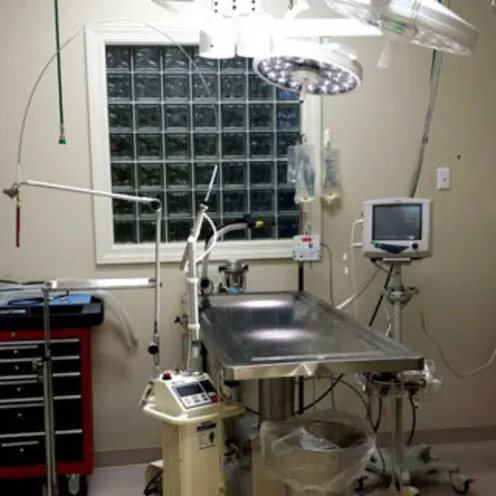 Valley Animal Hospital surgical suite with operating table and lighting equipment