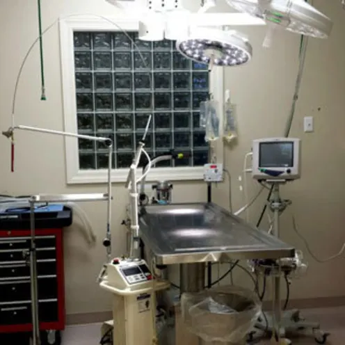 Valley Animal Hospital surgical suite with operating table and lighting equipment Valley Animal Hospital surgical suite with operating table and lighting equipment