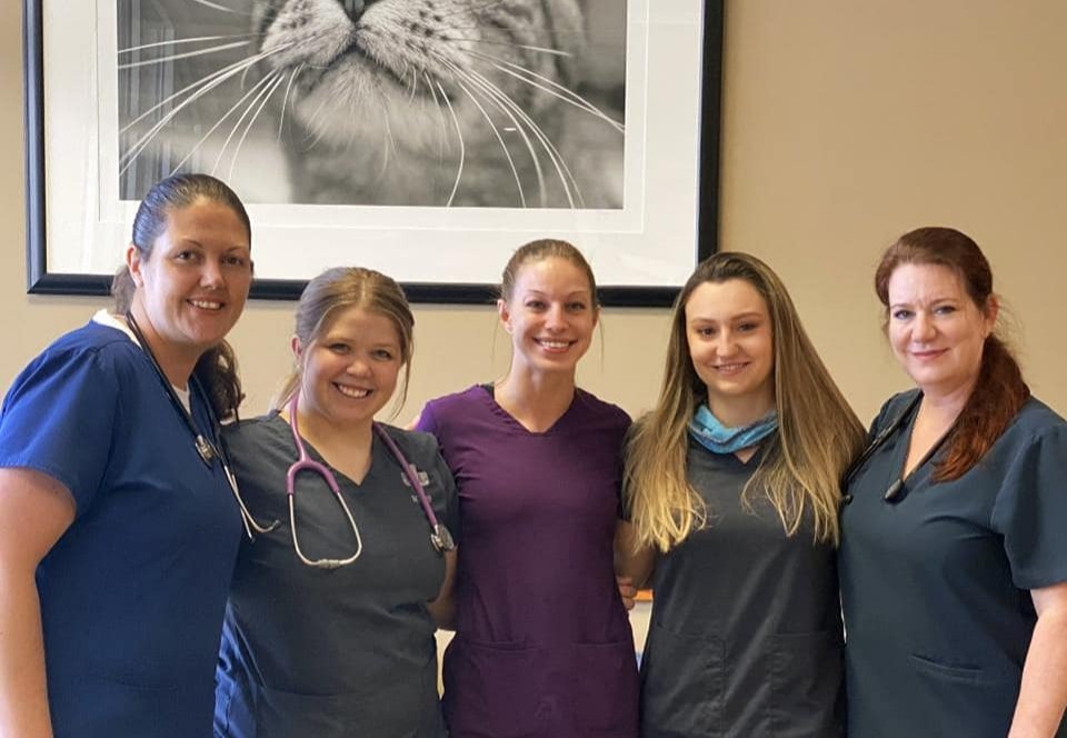  Mission Veterinary Emergency & Specialty  Staff