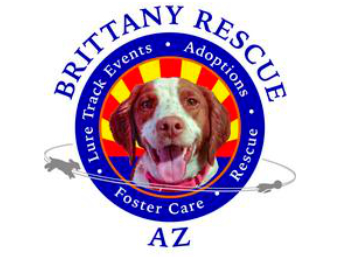 Brittany Rescue of Arizona Logo