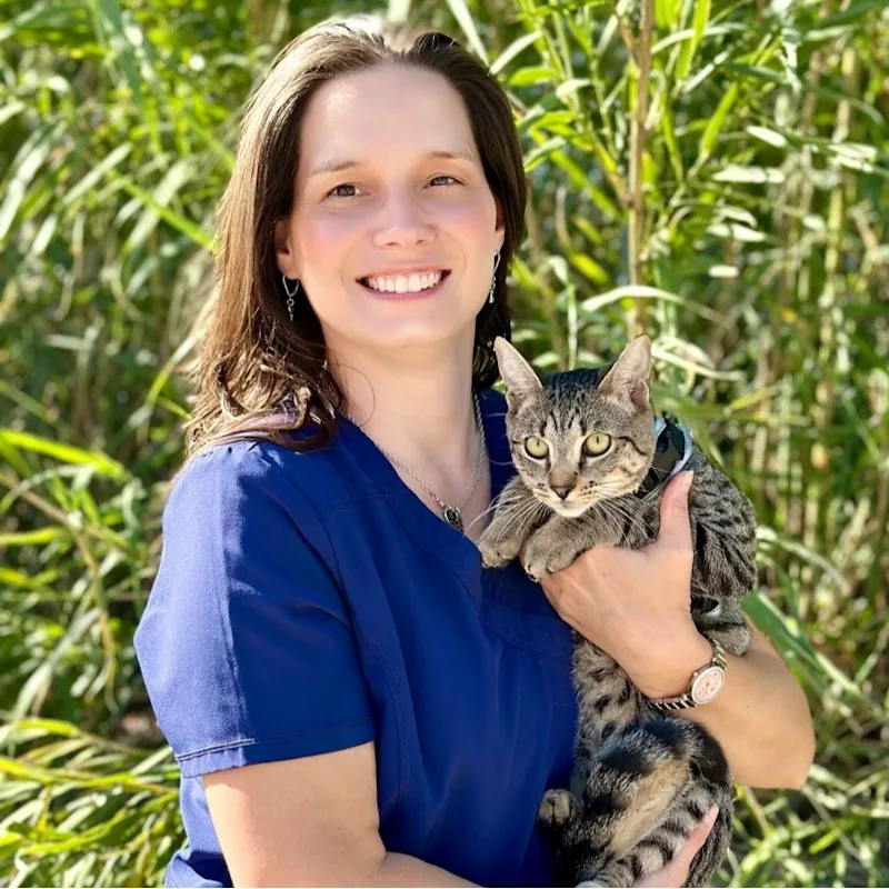 Heather Gillard of North 10th Street Animal Hospital Heather Gillard of North 10th Street Animal Hospital