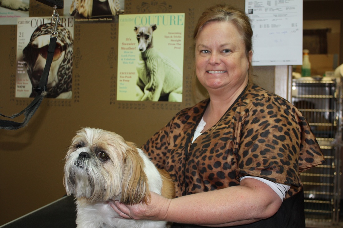 Quality Veterinary Services | Westridge Animal Hospital