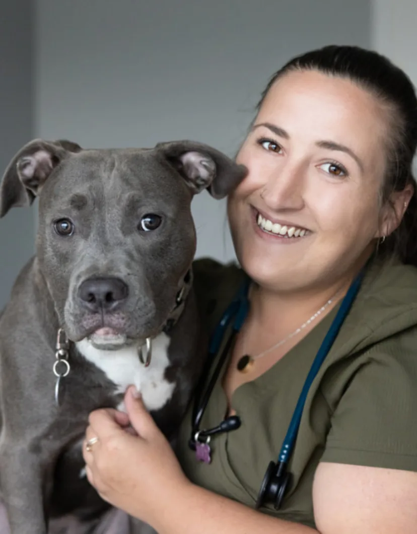 Chelsey smiling with a gray and white Pitbull