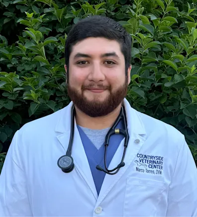 Dr. Marco Torres, DVM Dr. Marco Torres, DVM