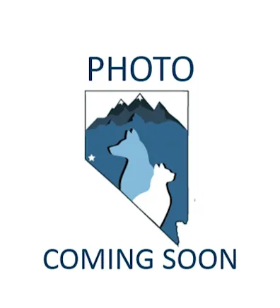 Dr. Trish Diudea Dr. Trish Diudea