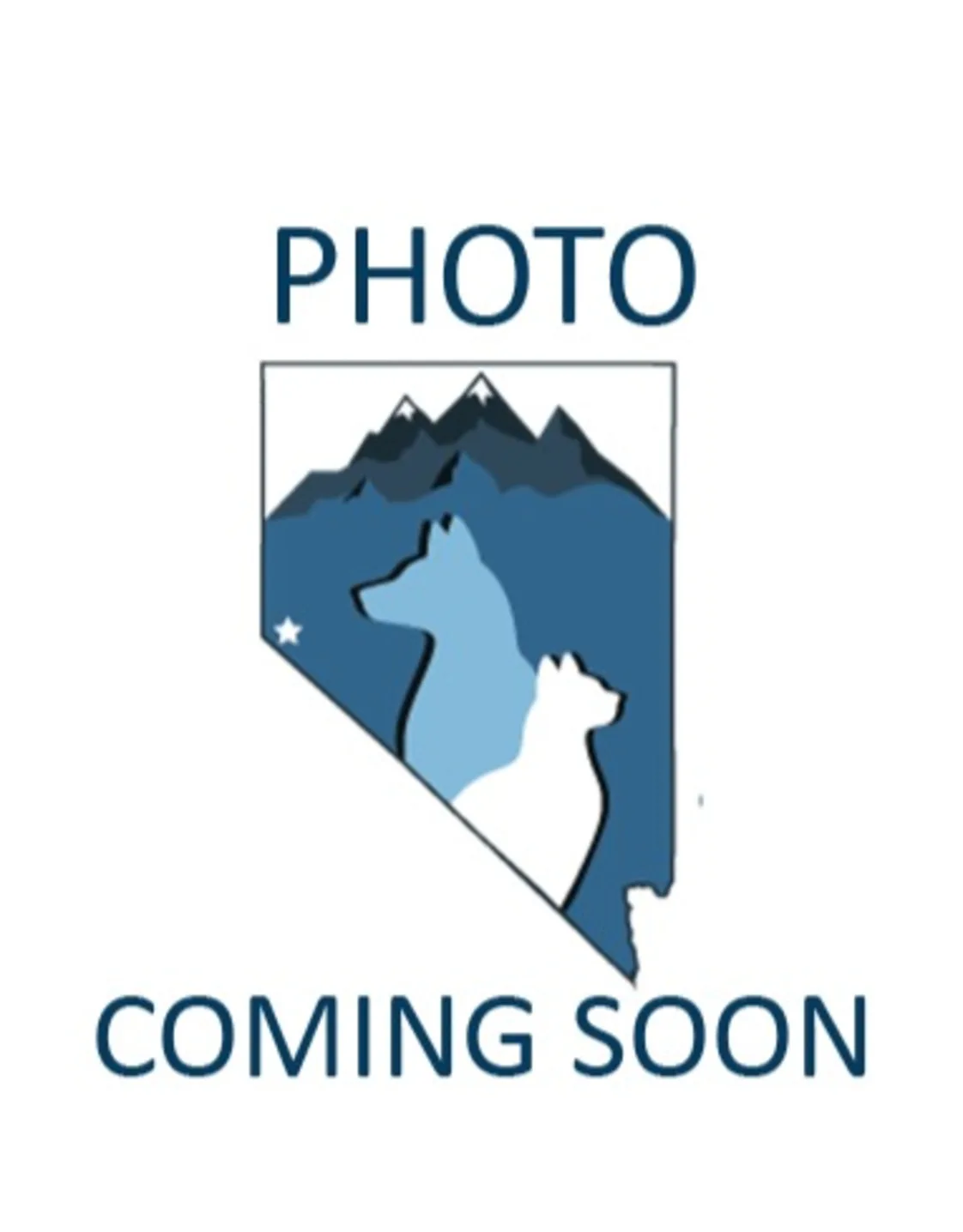 Dr. Trish Diudea Dr. Trish Diudea