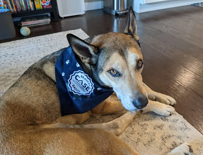 Copper with a CASE bandana Copper with a CASE bandana